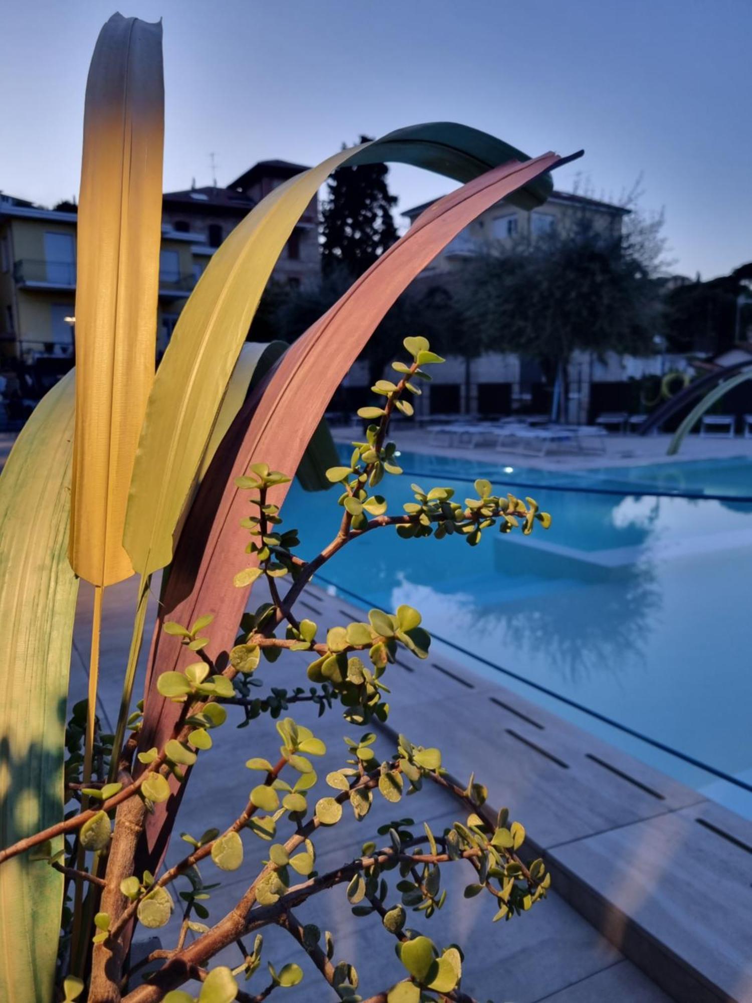 Hotel Villa Igea Diano Marina Esterno foto
